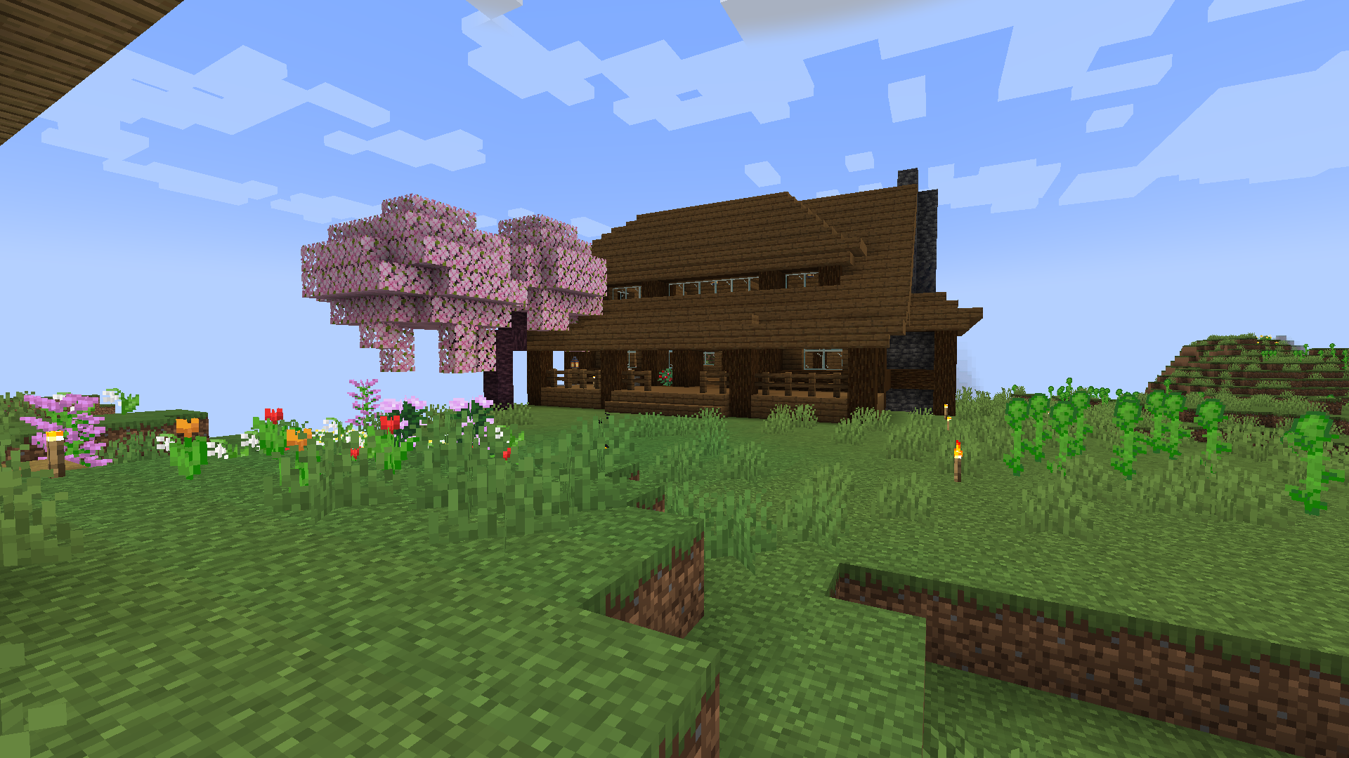 Haus